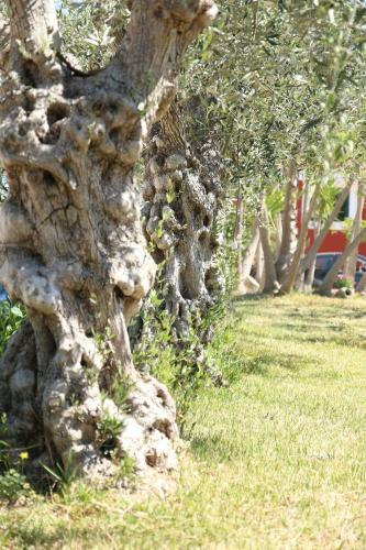 Agroturismo Tenuta Pirrera