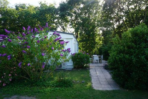 Kd 883 - Vakantiepark Kijkduin