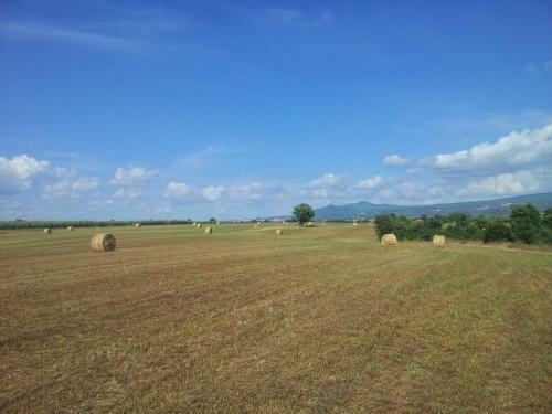 Agroturismo Agriturismo Bicoca