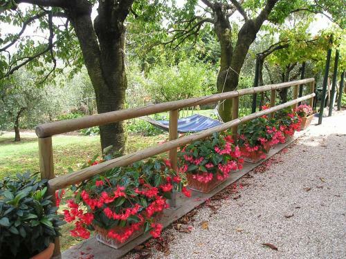 B&B Le Terrazze