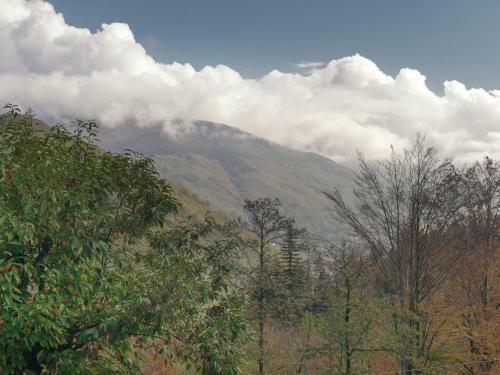 Apartment Il Pianone Cutigliano