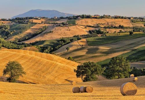 Agroturismo Rustico Del Conero