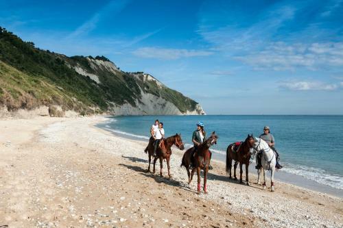 Agroturismo Rustico Del Conero
