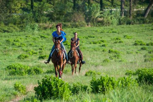 Agroturismo Rustico Del Conero