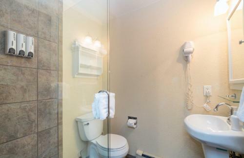 Hotel Manitou Lodge 2 By Alpine Lodging Telluride