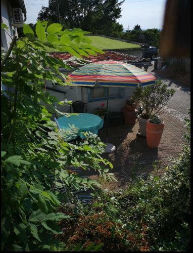 Apartamento Ferienwohnung Zur Alten S�ge