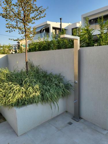 Olea Valley Holiday Villa