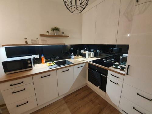 Apartament Number One Nova Wozownia