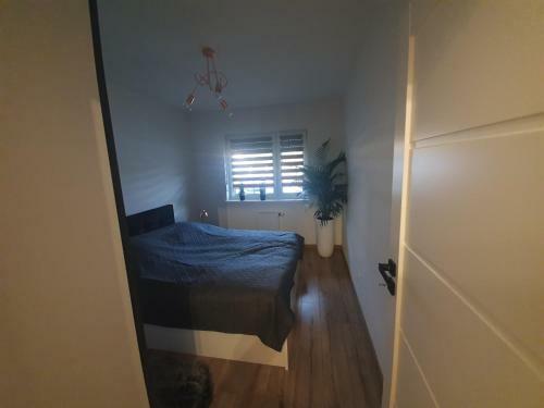 Apartament Number One Nova Wozownia