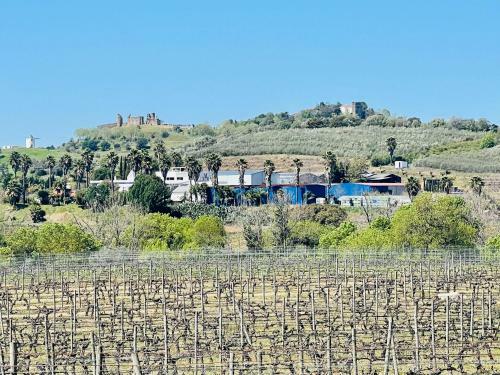Apartamento Fewo1846 - Alicante