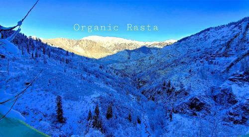 Organic Stays