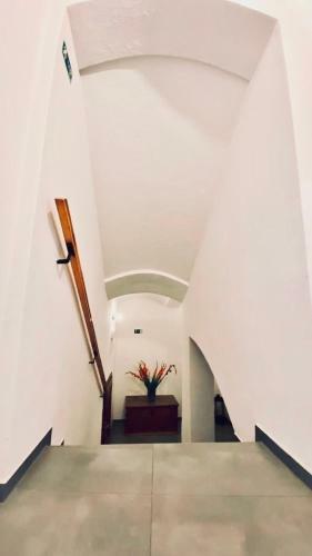 Apartamento D?m U Zelen�ho Stromu
