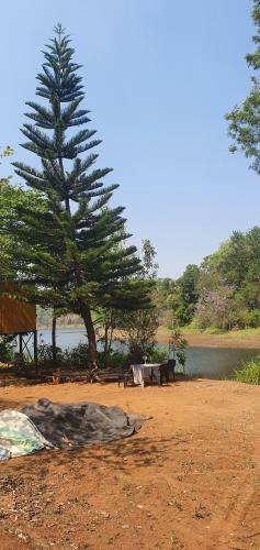Bob's Nature Stay
