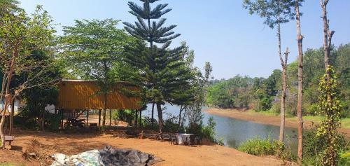 Bob's Nature Stay