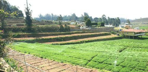 Green Acres - Farm House