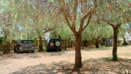 Le Castella Garden Apartment