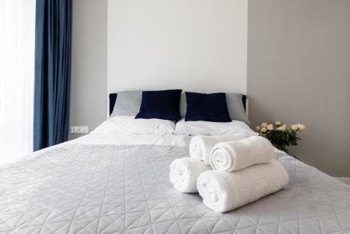 Apartament Nr 5 Cetniewo Osada