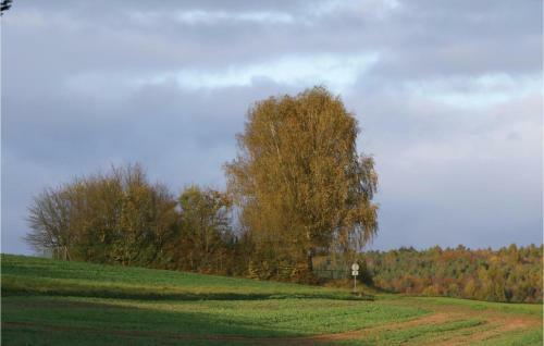 Five-bedroom Holiday Home In Kirchheim