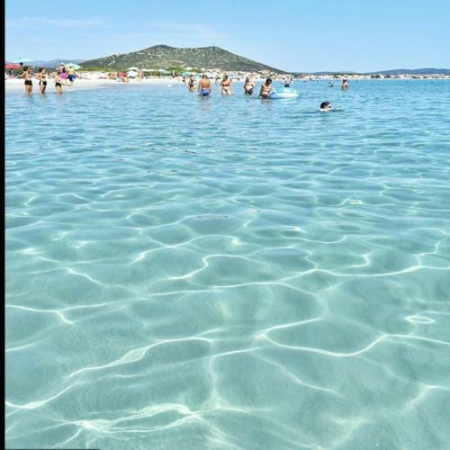Apartamento Appartamento A La Caletta Down