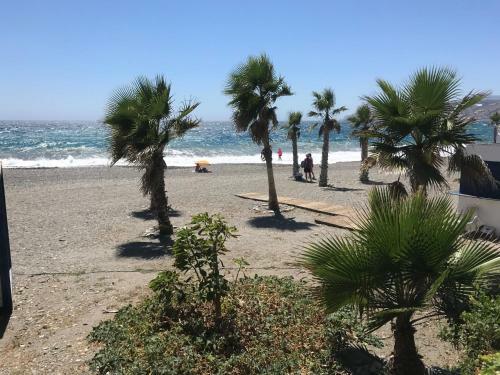 Casa Amigos - La Palmera