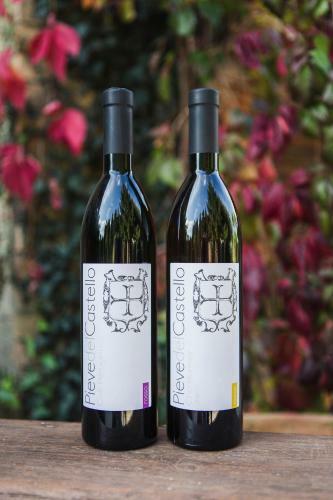 Agroturismo Pieve Del Castello