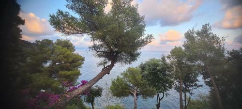 Cokkinis Villa With Beautiful Sea View Total Relax