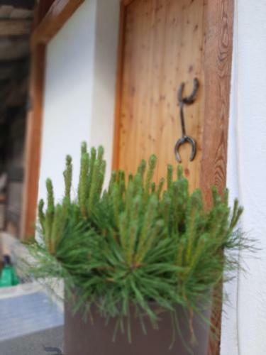 Chalet Stavel