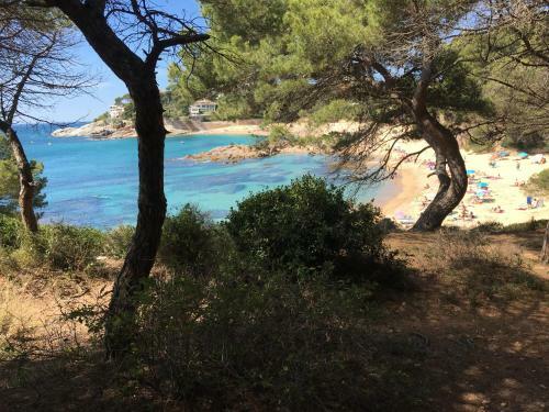 Apartamento Punta Prima