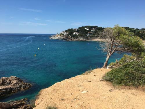 Apartamento Punta Prima