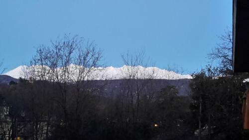Bed & Breakfast Villa Silvia Olivetti