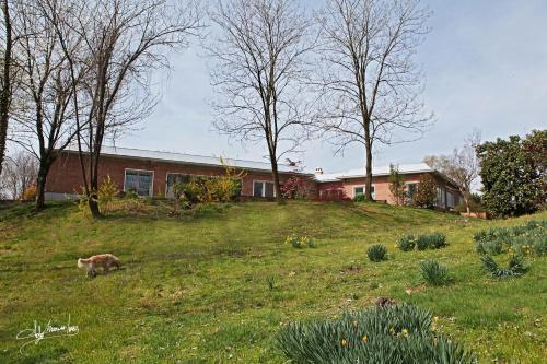 Bed & Breakfast Villa Silvia Olivetti