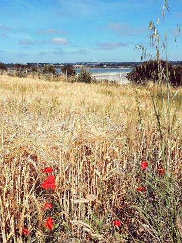 C�t� Baie
