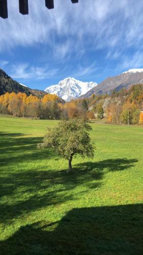 Apartamento Trilocale Le Cascatelle