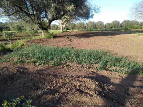 Holiday Home In Daffin� - Kalabrien 42705
