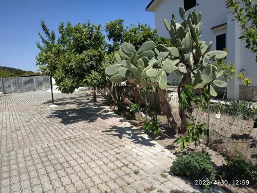 Apartamento Villa Scialara