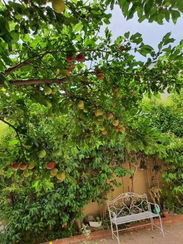 B&B Da Nuccia Villasimius