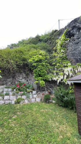 Apartamento Loreleyresidenz