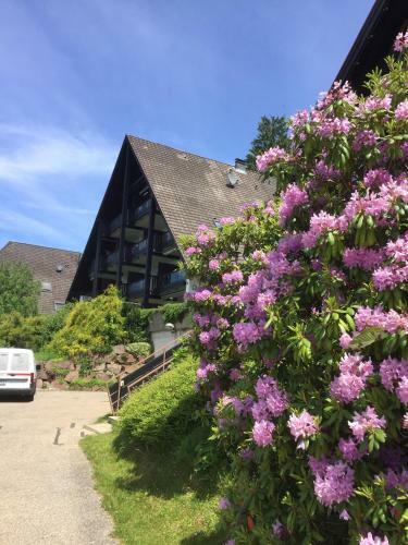Apartamento On The Hill