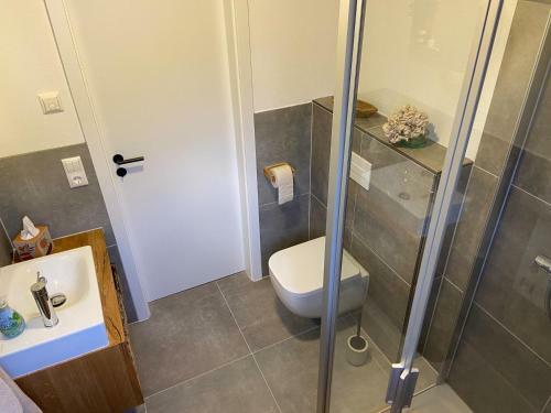 Apartamento Ferienwohnung Im Chalet Scheibenberg