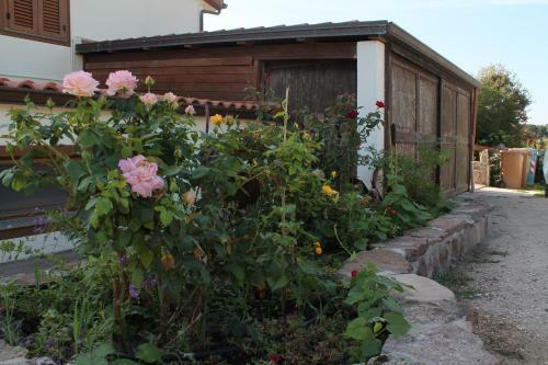 Agroturismo Agriturismo Su Recreu