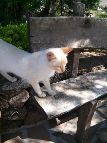 Agroturismo Agriturismo Su Recreu