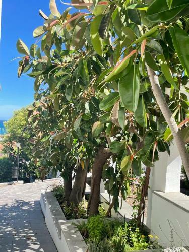 Villa-matteo Mit Meerblick Und Outdoor- K�che