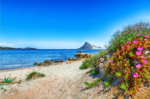 Apartamento Casa Paola 200mt From The Beach