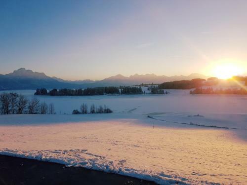 Apartamento Ferienhaus Fussenegger