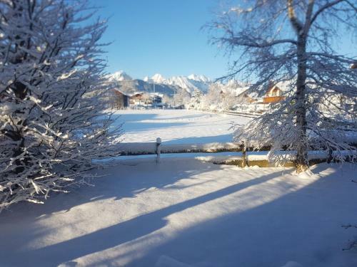 Apartamento Ferienhaus Fussenegger