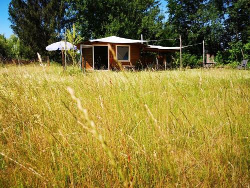 Gartenh�tte - Schlafen Bei Den Schafen