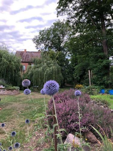 Gartenh�tte - Schlafen Bei Den Schafen