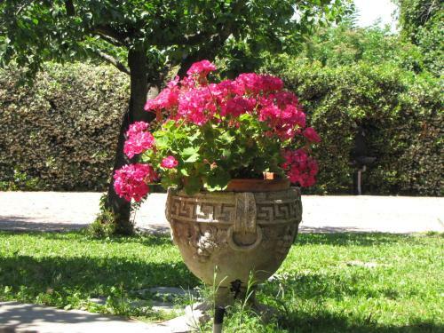 B&B Ai Glicini