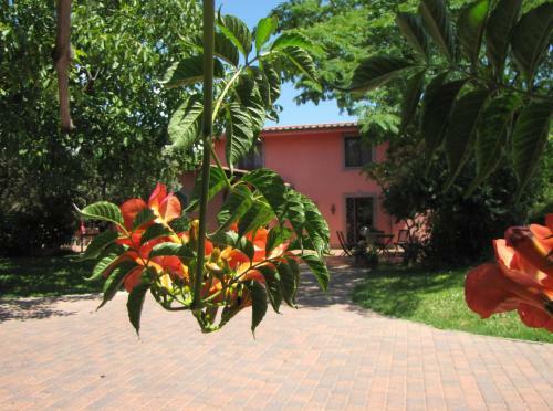 B&B Ai Glicini