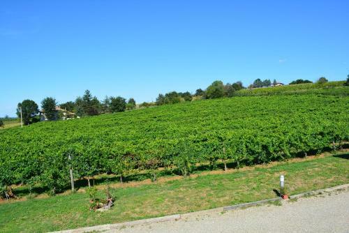 Agroturismo Le Stanze Di Bacco